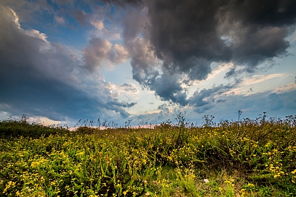 דרמה חורפית
