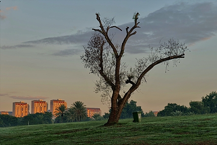 רחוק מהקניון