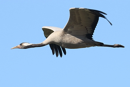 צילום: יהודה אלון