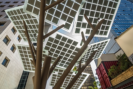 חשמל על עצים