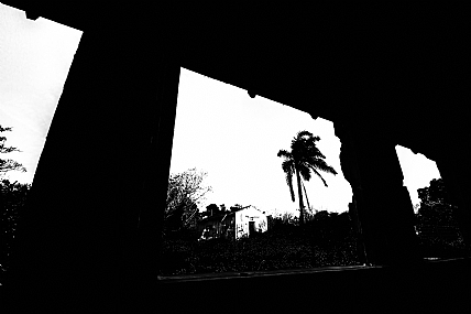 מבט אל העבר