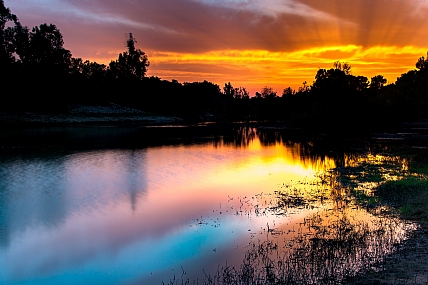 חולות ראש"לצ
