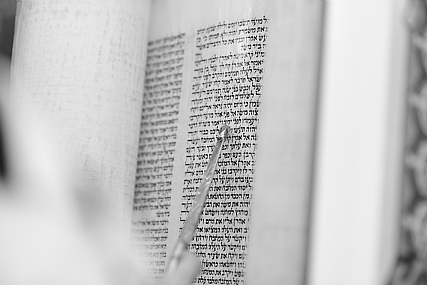 �����: ����� ���