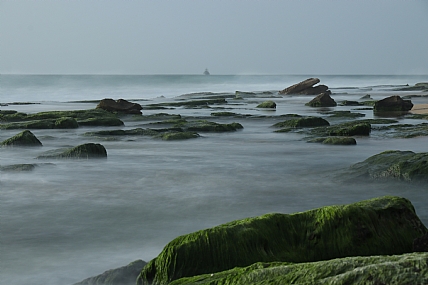 סלעים ירוקים