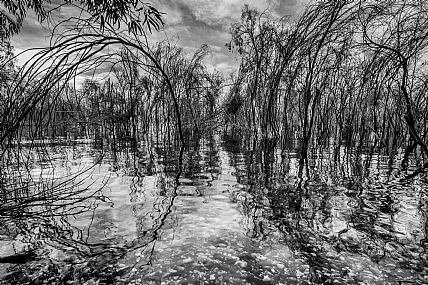 על שפת ים כנרת