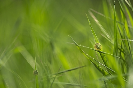 שיווי משקל(?)