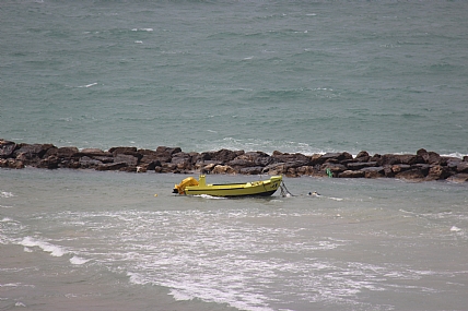 �����: ����� ���