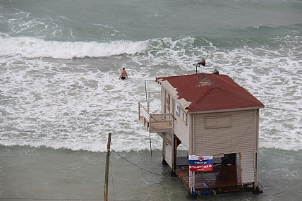 �����: ����� ���