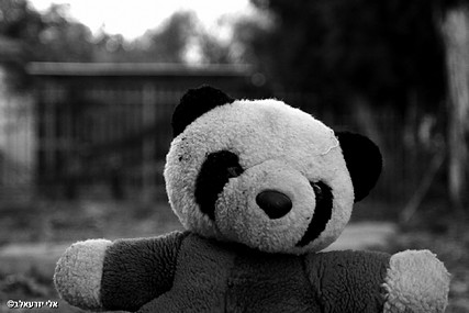 longing for a child