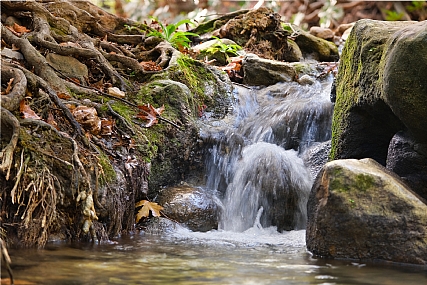סתיו בנחל כזיב