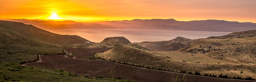צילום: ניב דרוקמן