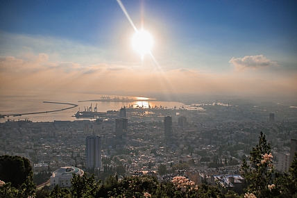 צילום: שחף צימט