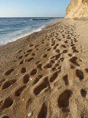 Beach walk