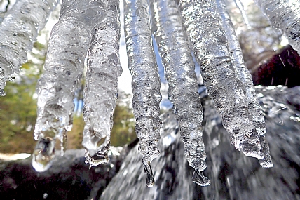 צילום: בן אביב שניידר