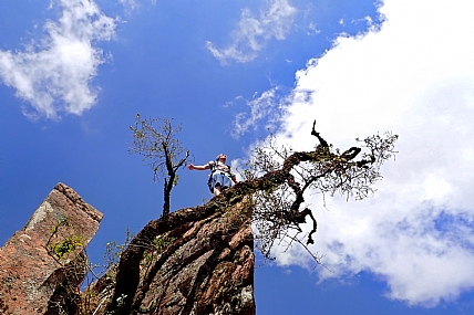 צילום: בן אביב שניידר