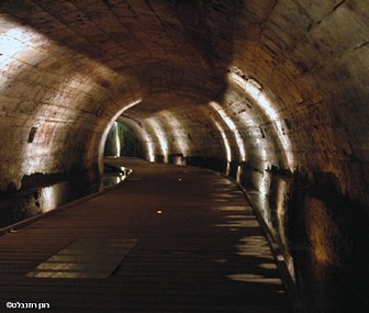 האור בקצה המנהרה
