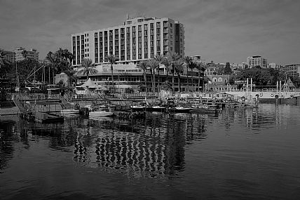 יש חיים בשחור