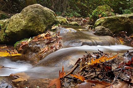 סתיו בנחל עמוד 2