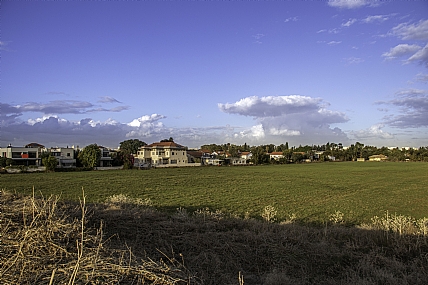 צילום: יהושע ברוכי