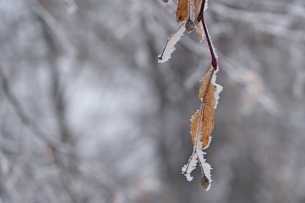 תלוי לזמן מה