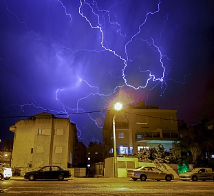 צילום: יואל דה פריס