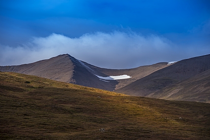 הפשרת השלגים