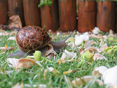 צילום: טל איתן