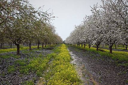 צילום: איתן פרקש