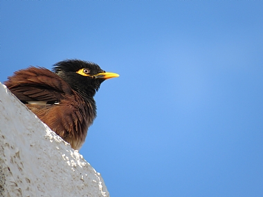 צילום: טל איתן