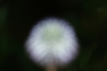 לא להיות בפוקוס