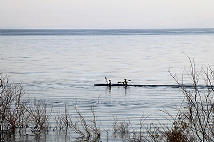 במטרה ביחד להצליח 