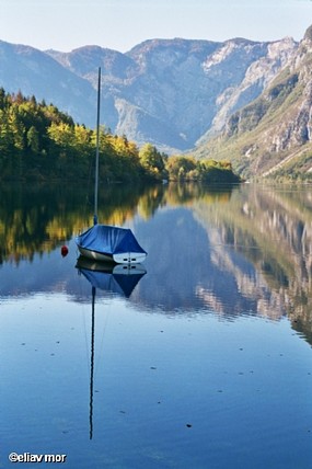 נוף משוכפל ...