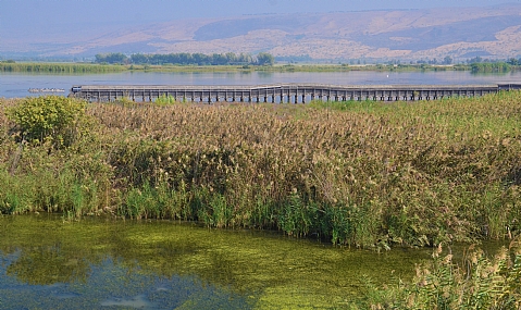 ארצינו היפה!!!