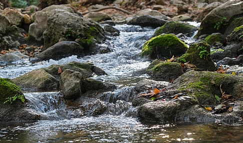 זרימה בין האבנים 2