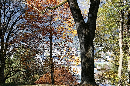 סתיו במיטבו