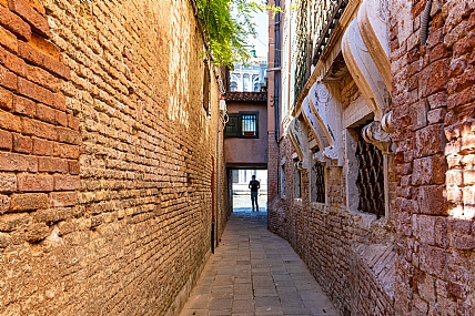 צילום: רינת  גולדנברג