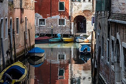 צילום: רינת  גולדנברג