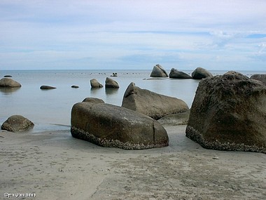 אבנים בים