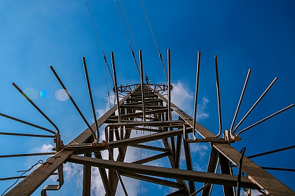 קוצייו של עמוד חשמל.