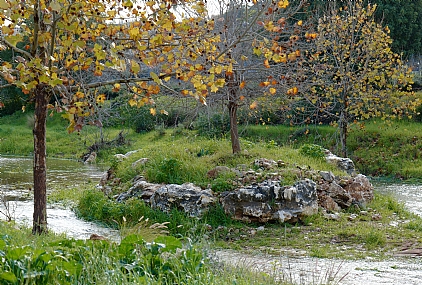 נהר ראש העין