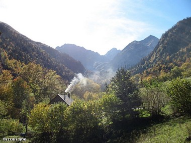 בית קטן ביער