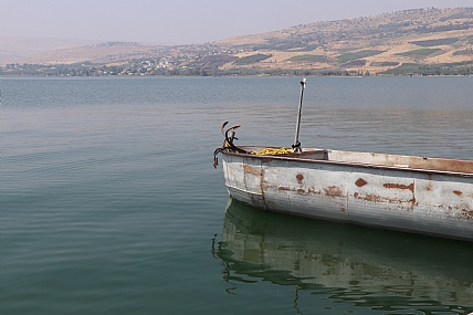 ממתינים בכנרת 