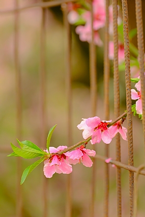 להתפרץ החוצה2