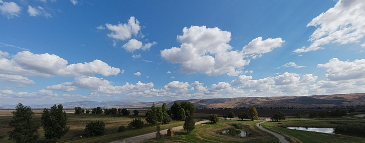 צילום: ronen taragan