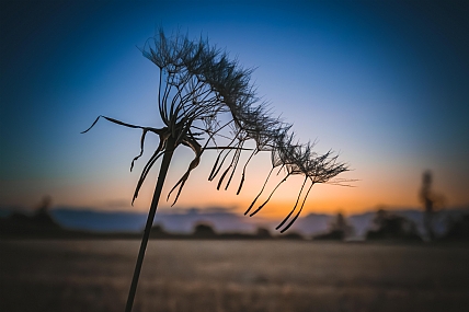 צילום: יעל פרץ