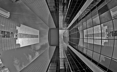 מבט על בשחור לבן