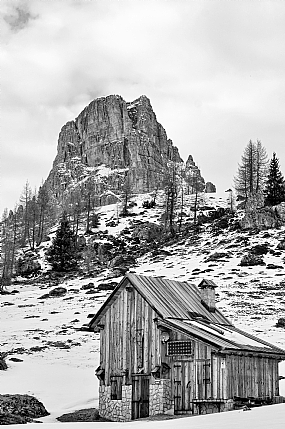 "זכרונות הם בית"