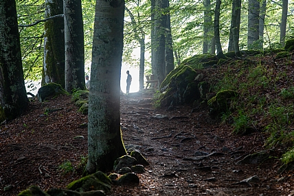 צילום: רינת  גולדנברג