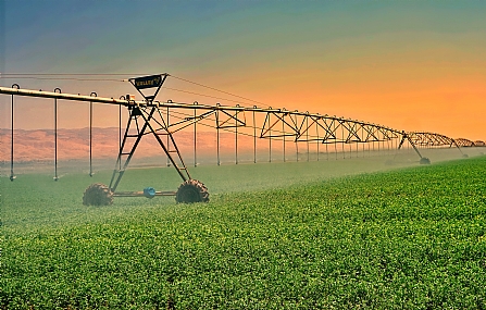 מפריחים את השממה