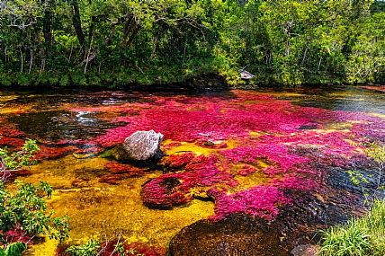 Ca?o Cristales - The C
